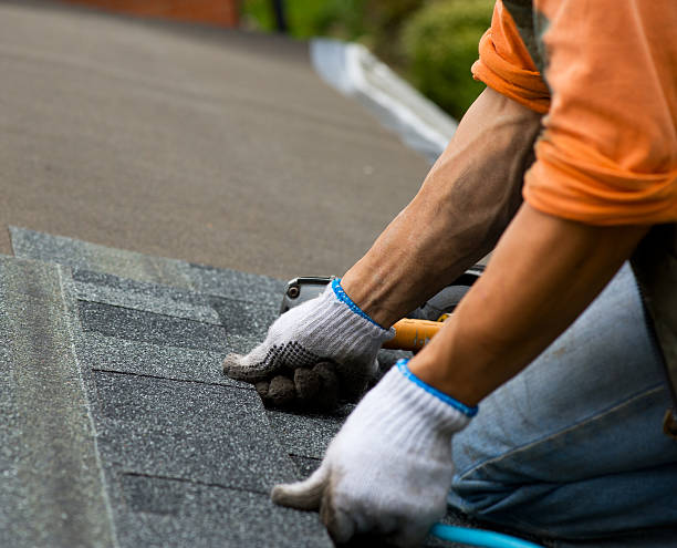 Best Local Roofing Companies  in Homedale, ID